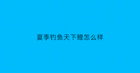 “夏季钓鱼天下鲤怎么样