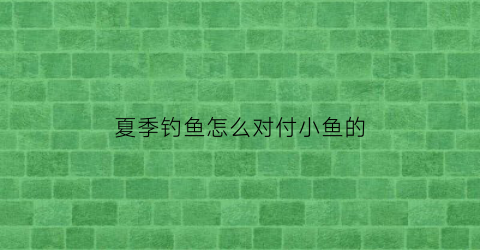 夏季钓鱼怎么对付小鱼的(夏季钓鱼怎么对付小鱼的视频)