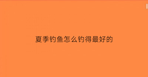夏季钓鱼怎么钓得最好的(夏季钓鱼的方法)