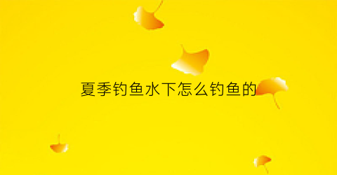 夏季钓鱼水下怎么钓鱼的(夏天如何钓到鱼)