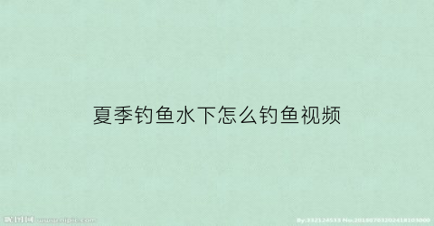 夏季钓鱼水下怎么钓鱼视频(钓鱼水下视频)
