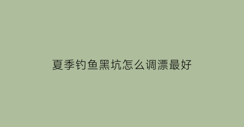 “夏季钓鱼黑坑怎么调漂最好(夏季钓鱼黑坑怎么调漂最好呢)