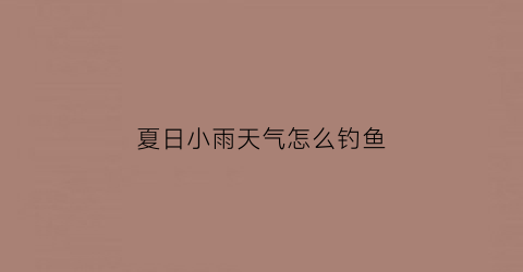 夏日小雨天气怎么钓鱼