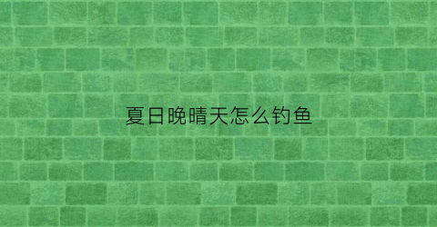 夏日晚晴天怎么钓鱼(夏日夜钓)