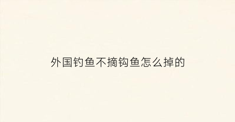 外国钓鱼不摘钩鱼怎么掉的(外国钓大鱼)