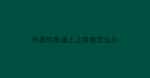 外国钓鱼遇上上颚鱼怎么办(外国钓鱼遇上上颚鱼怎么办视频)