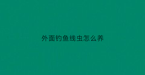 外面钓鱼线虫怎么养(外面钓的鱼怎么养)