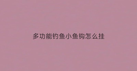 多功能钓鱼小鱼钩怎么挂(多功能钓鱼架杆图片)