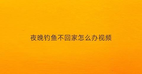 夜晚钓鱼不回家怎么办视频