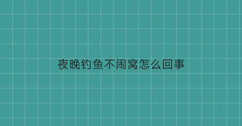 夜晚钓鱼不闹窝怎么回事(夜晚钓鱼不闹窝怎么回事呢)