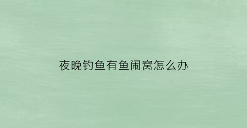 夜晚钓鱼有鱼闹窝怎么办(夜晚钓鱼有小鱼闹窝吗)