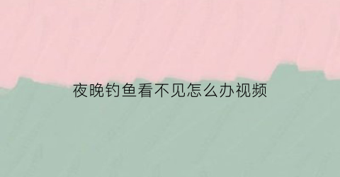 夜晚钓鱼看不见怎么办视频(夜晚钓鱼鱼能看得见吗)