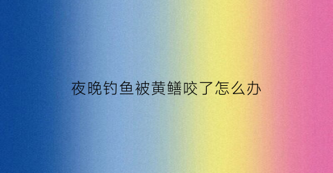 夜晚钓鱼被黄鳝咬了怎么办(黄鳝被钓走了还会有吗)