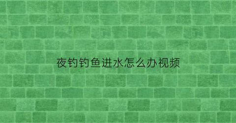 夜钓钓鱼进水怎么办视频(夜钓走水怎么办)