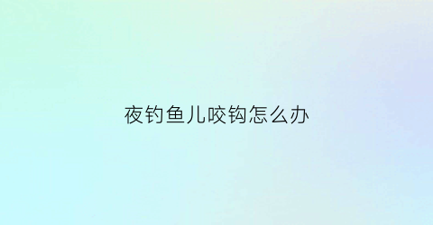 夜钓鱼儿咬钩怎么办(夜钓鱼不咬钩怎么办)