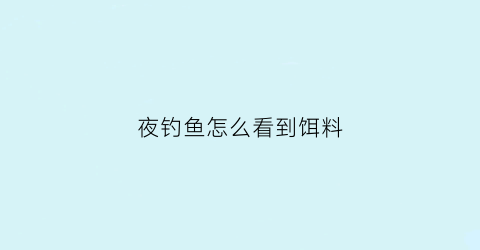 夜钓鱼怎么看到饵料(夜钓怎么判断鱼是否进窝)