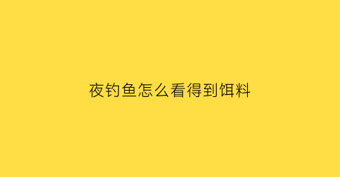 “夜钓鱼怎么看得到饵料(夜钓如何看漂)