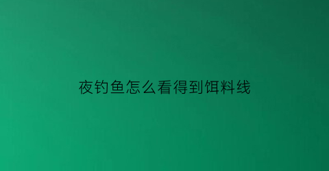 夜钓鱼怎么看得到饵料线(夜钓用饵技巧)