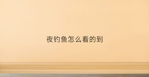 夜钓鱼怎么看的到