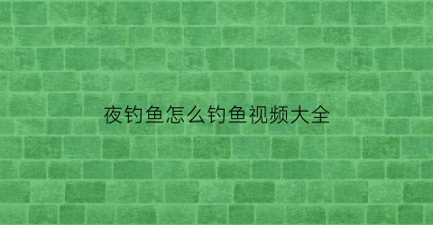 夜钓鱼怎么钓鱼视频大全(夜钓的技巧钓鱼教你如何夜钓)