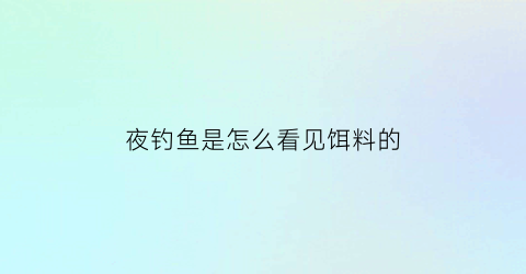 夜钓鱼是怎么看见饵料的(夜钓怎样才能钓到鱼)