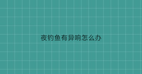“夜钓鱼有异响怎么办(夜钓吓人)