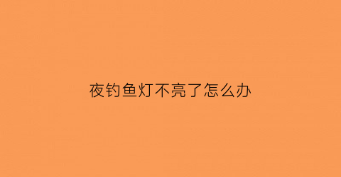 夜钓鱼灯不亮了怎么办(夜钓灯不亮了怎么回事)