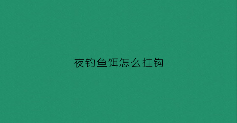 夜钓鱼饵怎么挂钩(夜钓如何钓)