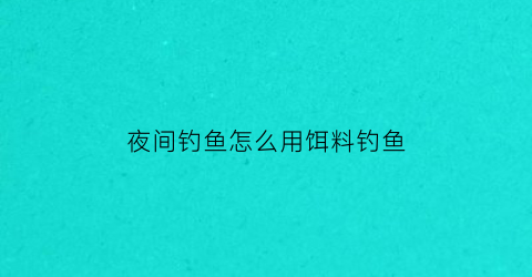 夜间钓鱼怎么用饵料钓鱼(夜间怎样才能钓大鱼)
