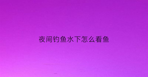 “夜间钓鱼水下怎么看鱼(夜间钓鱼技巧)