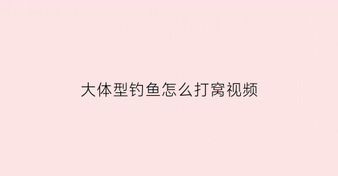 大体型钓鱼怎么打窝视频(大体型钓鱼怎么打窝视频教程)
