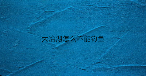 大冶湖怎么不能钓鱼(2020年大冶湖能钓鱼吗)