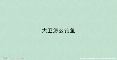 大卫怎么钓鱼(大卫x方法视频)