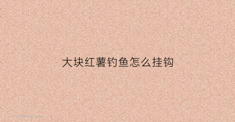 大块红薯钓鱼怎么挂钩(钓鱼挂红薯块视频)