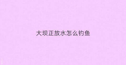 大坝正放水怎么钓鱼(大坝正放水怎么钓鱼最好)