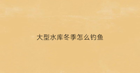 大型水库冬季怎么钓鱼(冬季水库钓鱼技巧全知识)