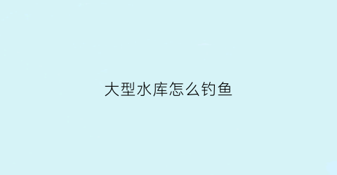 大型水库怎么钓鱼(大型水库野钓)