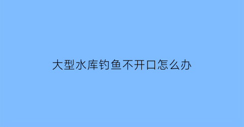 大型水库钓鱼不开口怎么办(水库钓鱼没口怎么回事)