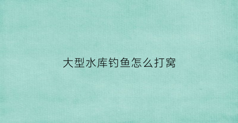 大型水库钓鱼怎么打窝(在大型水库如何打大窝)