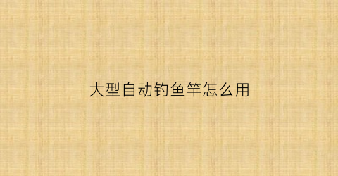 “大型自动钓鱼竿怎么用(自动钓鱼杆制作视频)