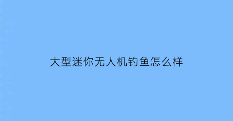 大型迷你无人机钓鱼怎么样(迷你无人机)