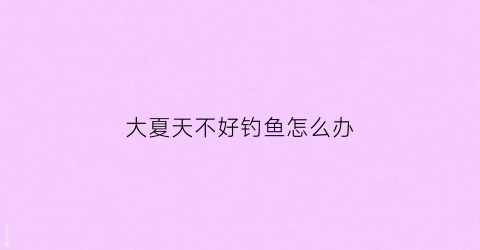 大夏天不好钓鱼怎么办(夏天钓不到鱼怎么办)