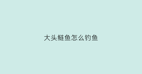 大头鲢鱼怎么钓鱼(大头鲢用什么钓最好)
