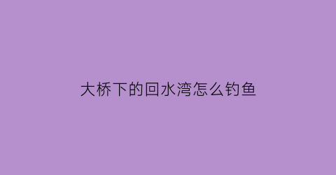 大桥下的回水湾怎么钓鱼(回水湾钓鱼怎么选钓位)