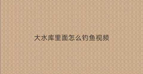 “大水库里面怎么钓鱼视频(大水库怎么钓鱼鱼容易上钩)