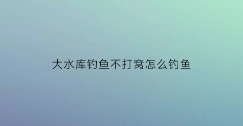 大水库钓鱼不打窝怎么钓鱼(大水库为什么钓不到鱼)