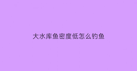 大水库鱼密度低怎么钓鱼(大水库鱼密度低怎么钓鱼视频)