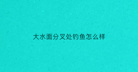 大水面分叉处钓鱼怎么样(钓鱼大水面和小水面)