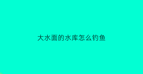 “大水面的水库怎么钓鱼(大水面水库怎么选钓位图解)