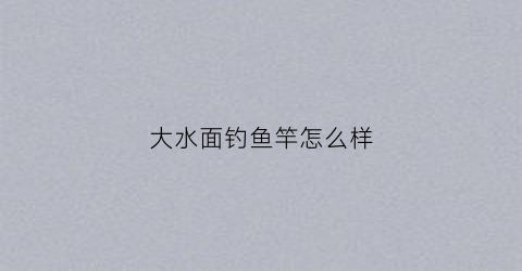 大水面钓鱼竿怎么样(大水面作钓)